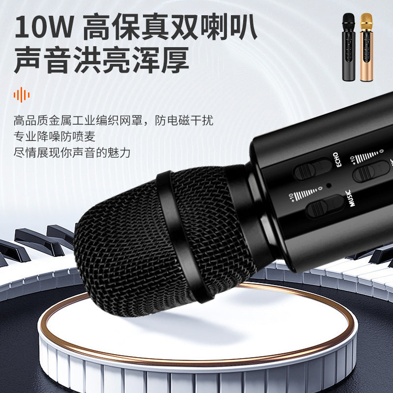 Cross-border custom wireless condenser microphone dual speaker portable Bluetooth microphone home singing audio microphone