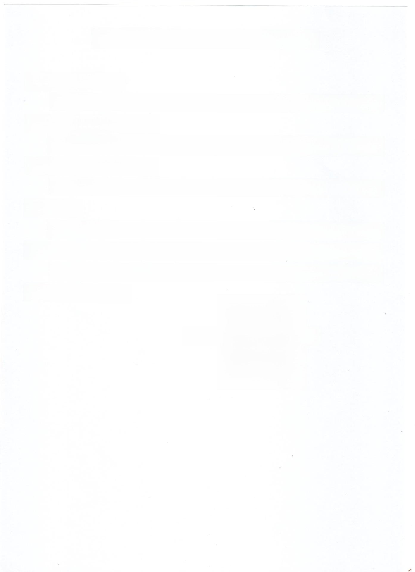 Cross-border sun tanning liquid foundation handaiyan wheat bronze concealer deep flesh color pearlescent gilding liquid foundation