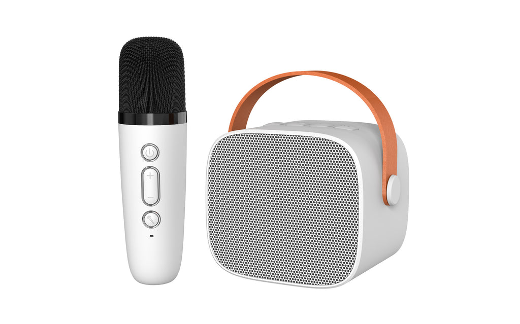Mini Bluetooth speaker P2 wireless stereo KTV microphone microphone family outdoor portable karaoke audio