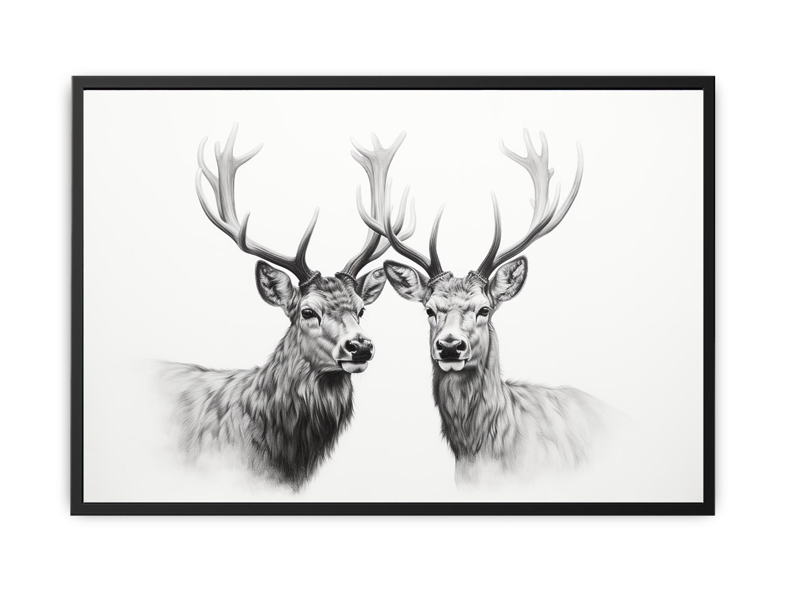 Black And White Deer Canvas Art Print