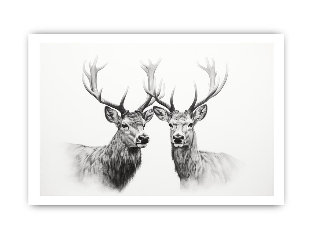 Black And White Deer Canvas Art Print