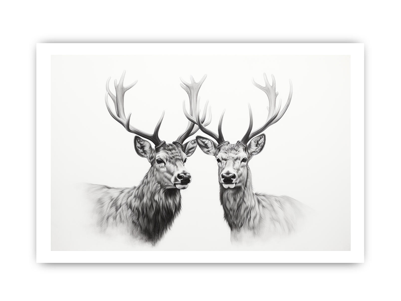 Black And White Deer Canvas Art Print