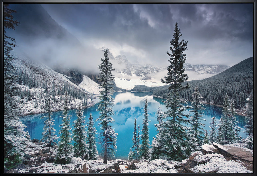 Wall art Morning blues