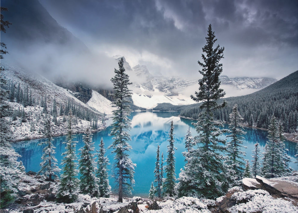 Wall art Morning blues