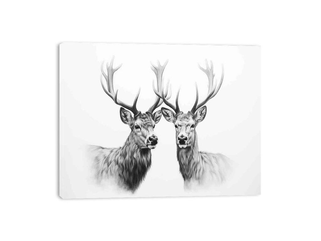Black And White Deer Canvas Art Print